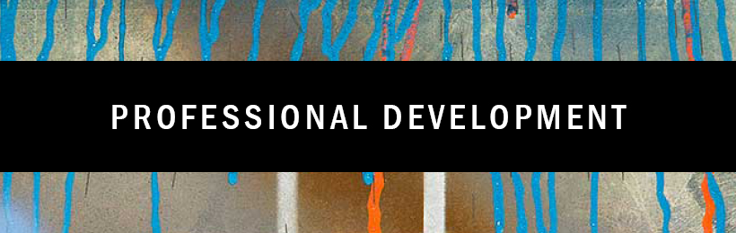 Professional Development